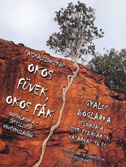 Okos füvek, okos fák - Gyalus Boglárka előadása az intelligens növényvilágról